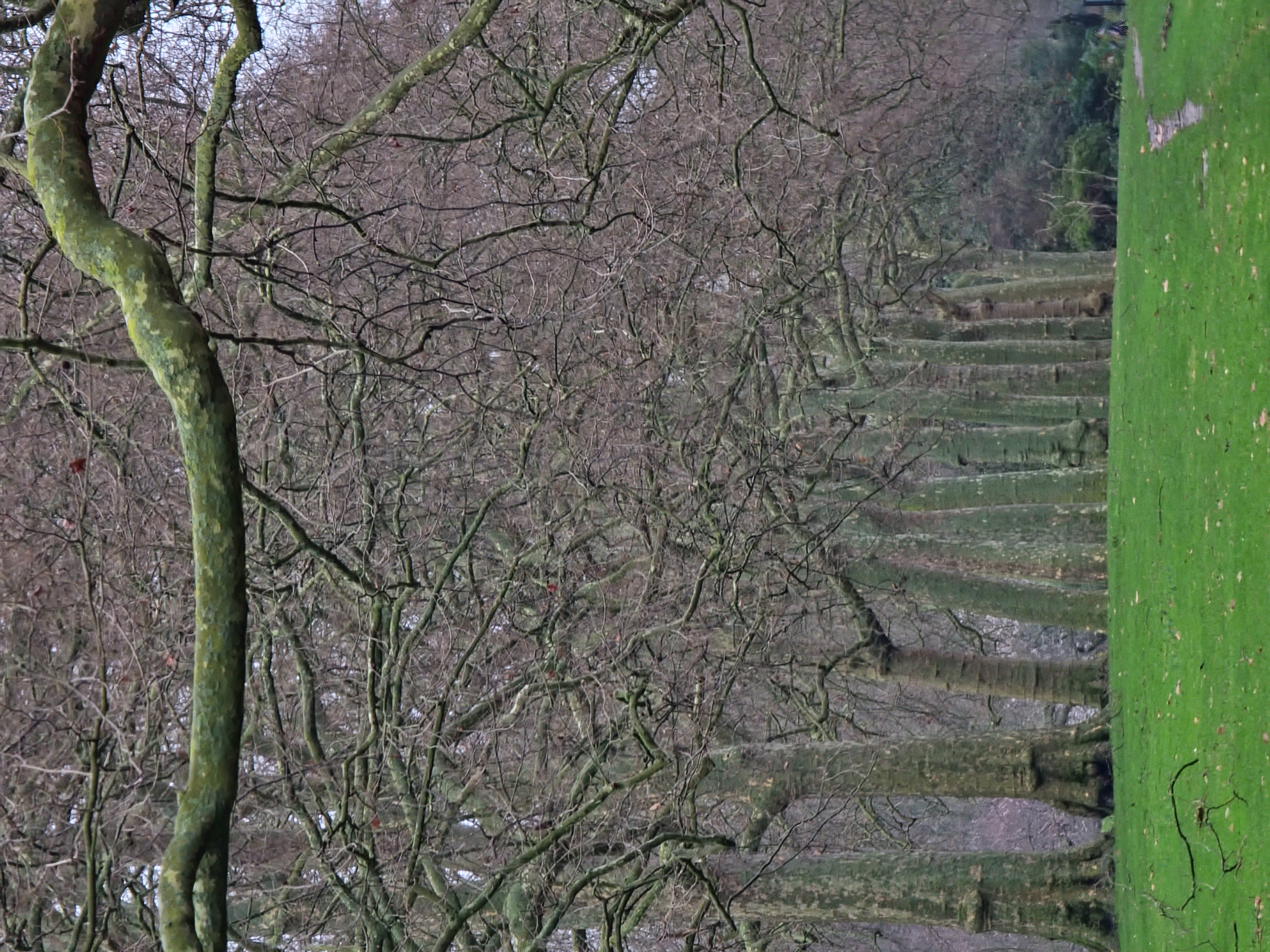 Gardens of Birmingham