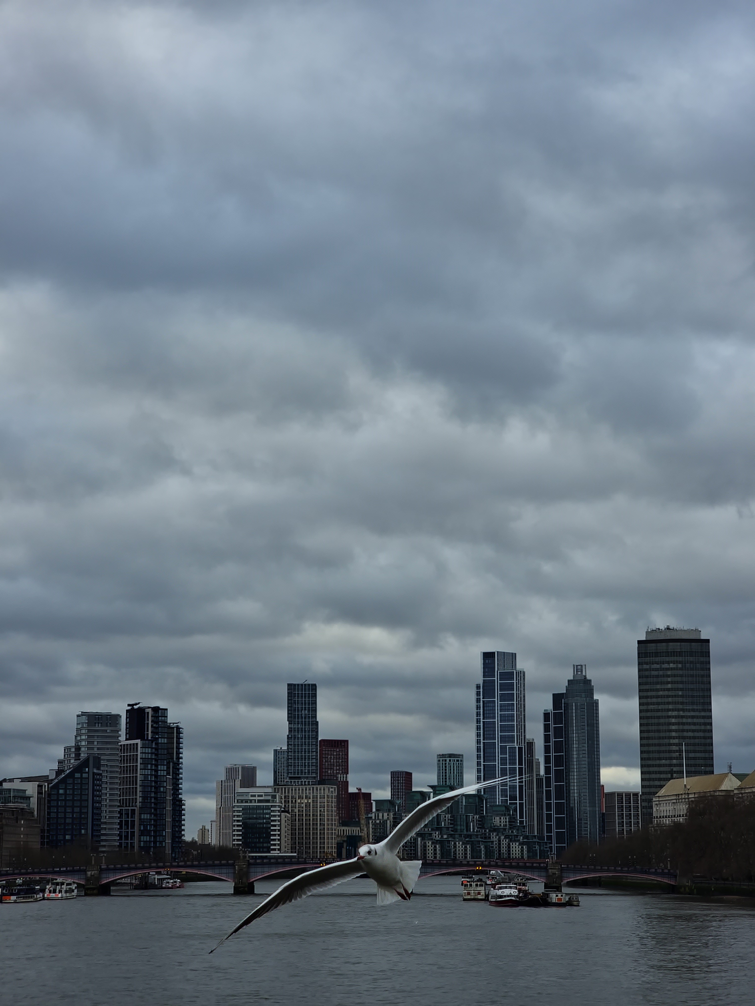 Birds behind the big ben