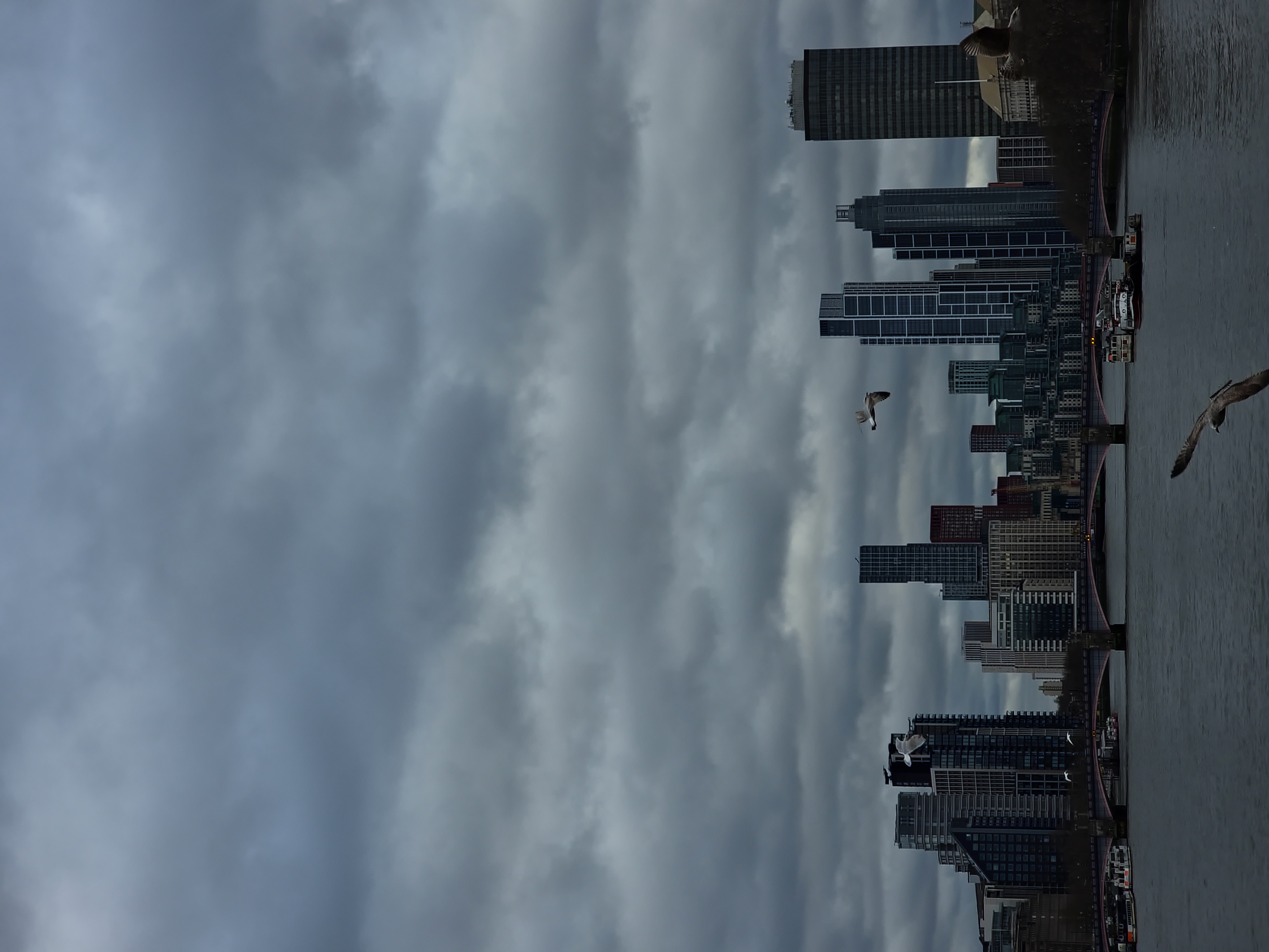 Birds behind the big ben